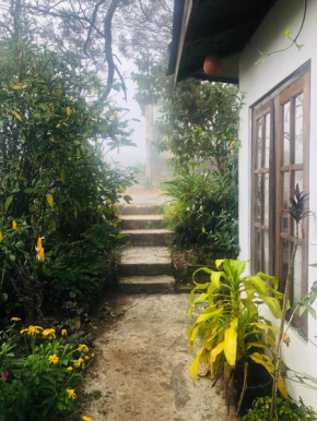 LAKE AND LAKE HOMESTAY